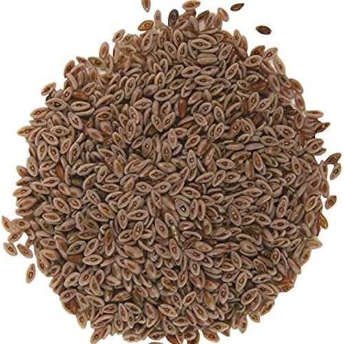 Psyllium Husk Seeds Exporter in Australia