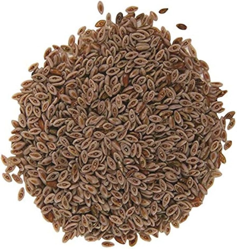 Psyllium Husk Seeds Exporter in Australia