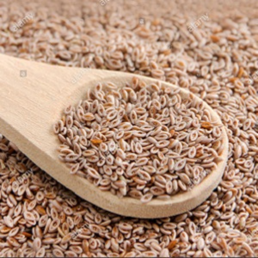 Psyllium Husk Benefits