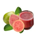 Guava Pulp Exporter in Saudi Arabia
