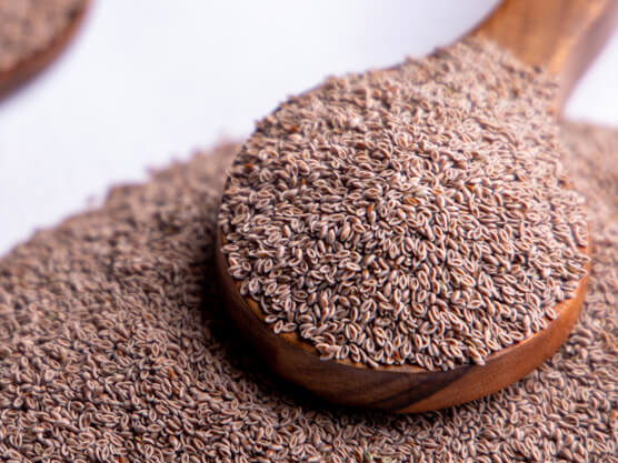 Psyllium Husk Seeds Exporter in Singapore