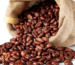 Coffee Beans Exporter from India