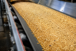 Oil resistant conveyor belt designed for fertilizer, recycling, food processing, chemical, and oilseed industries.